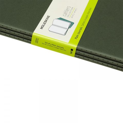 Cahier Journal Blank XL Grn 3-Pak